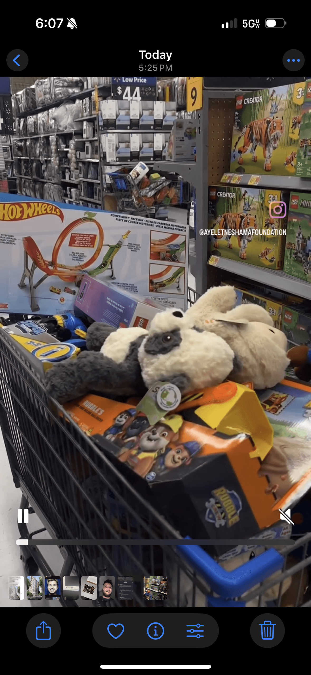 Dogs and volunteers walking together during the Walk for Paws community event, showing the shared purpose of supporting animal adoption
