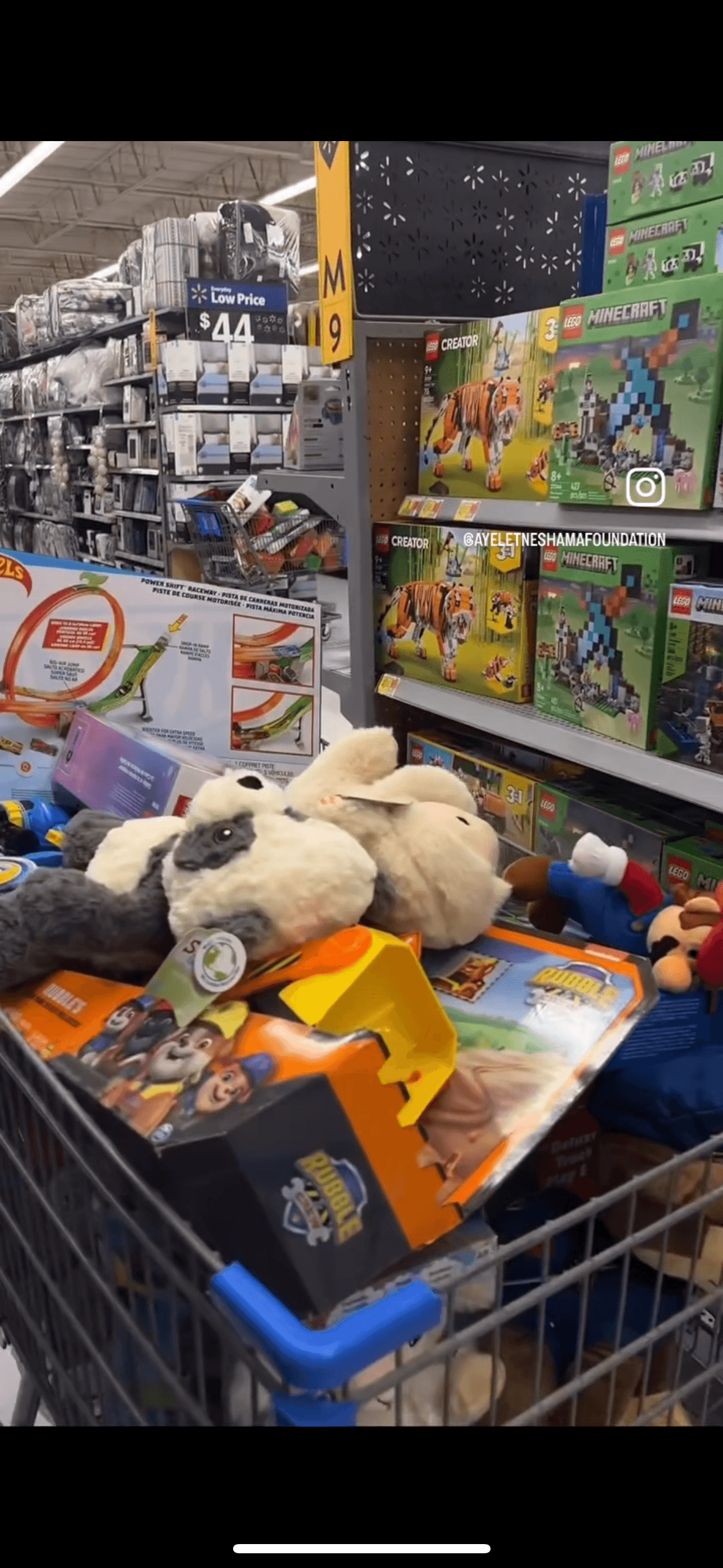 Volunteers and families gathering at the start of the Walk for Paws event, preparing to walk with adoptable dogs