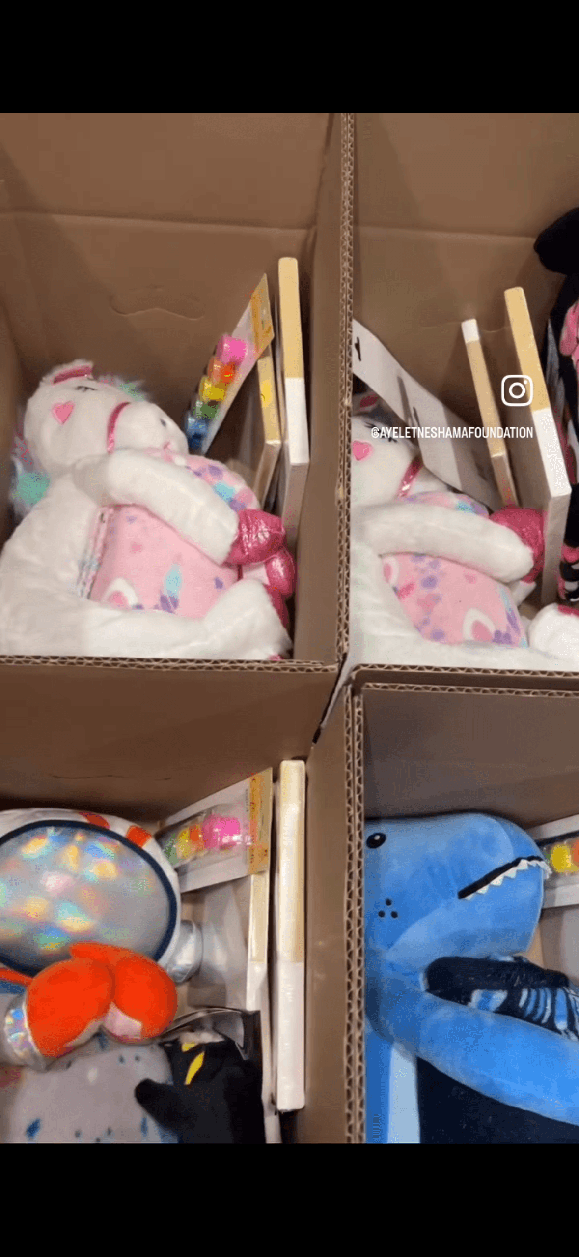 Dogs and volunteers walking together during the Walk for Paws community event