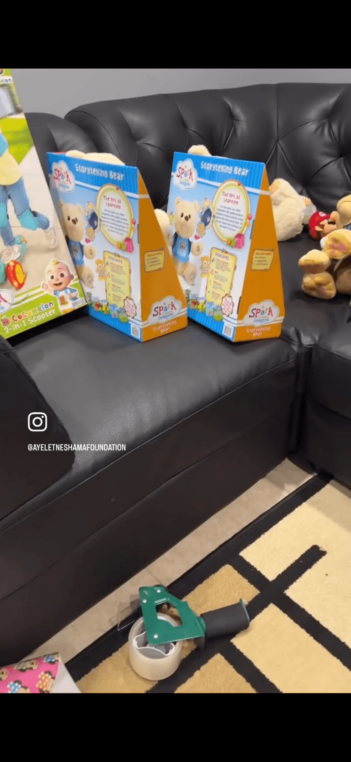 Community members and their pets walking together during the Walk for Paws event, demonstrating community participation