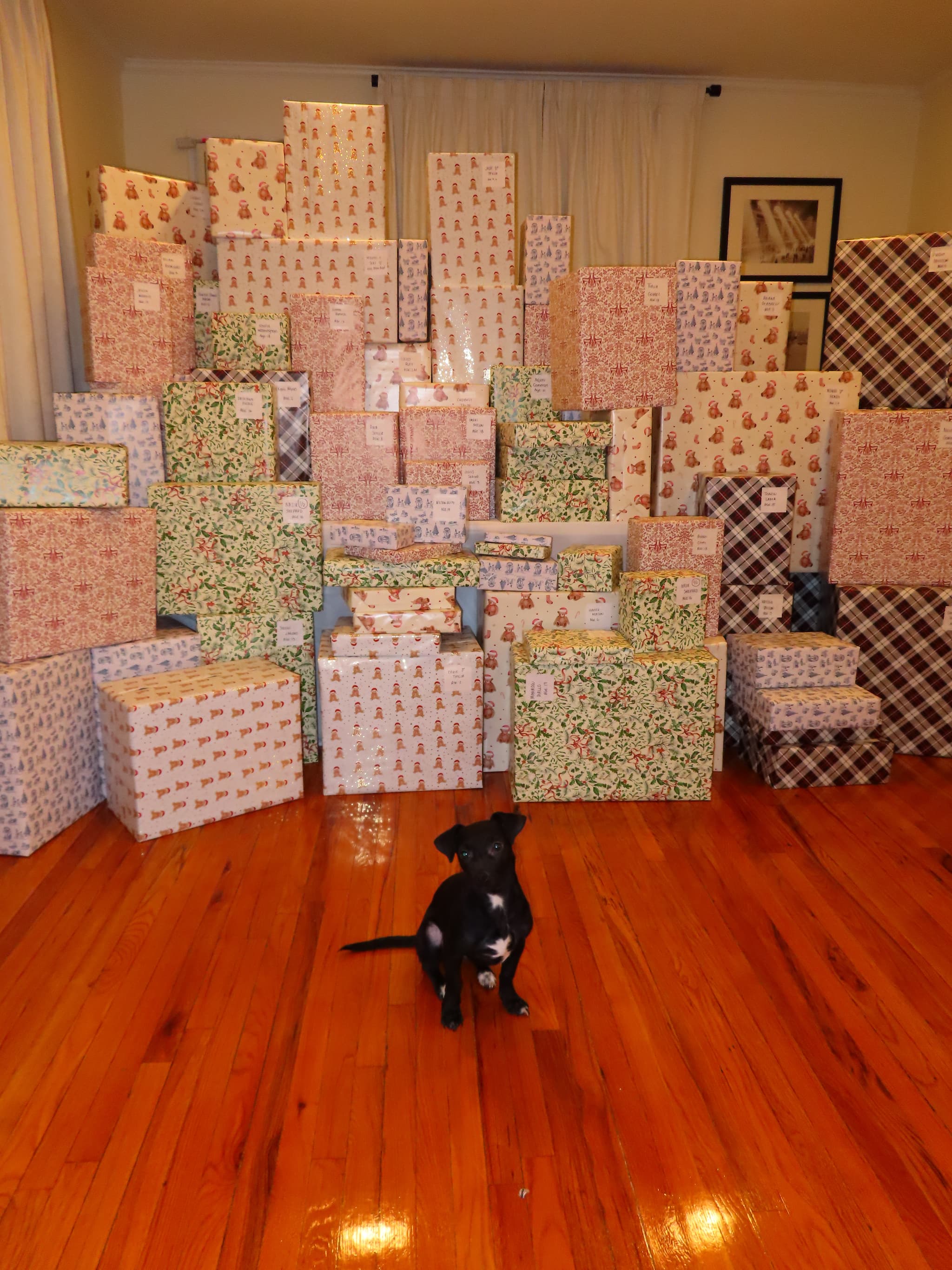 School supplies and educational materials organized for student distribution