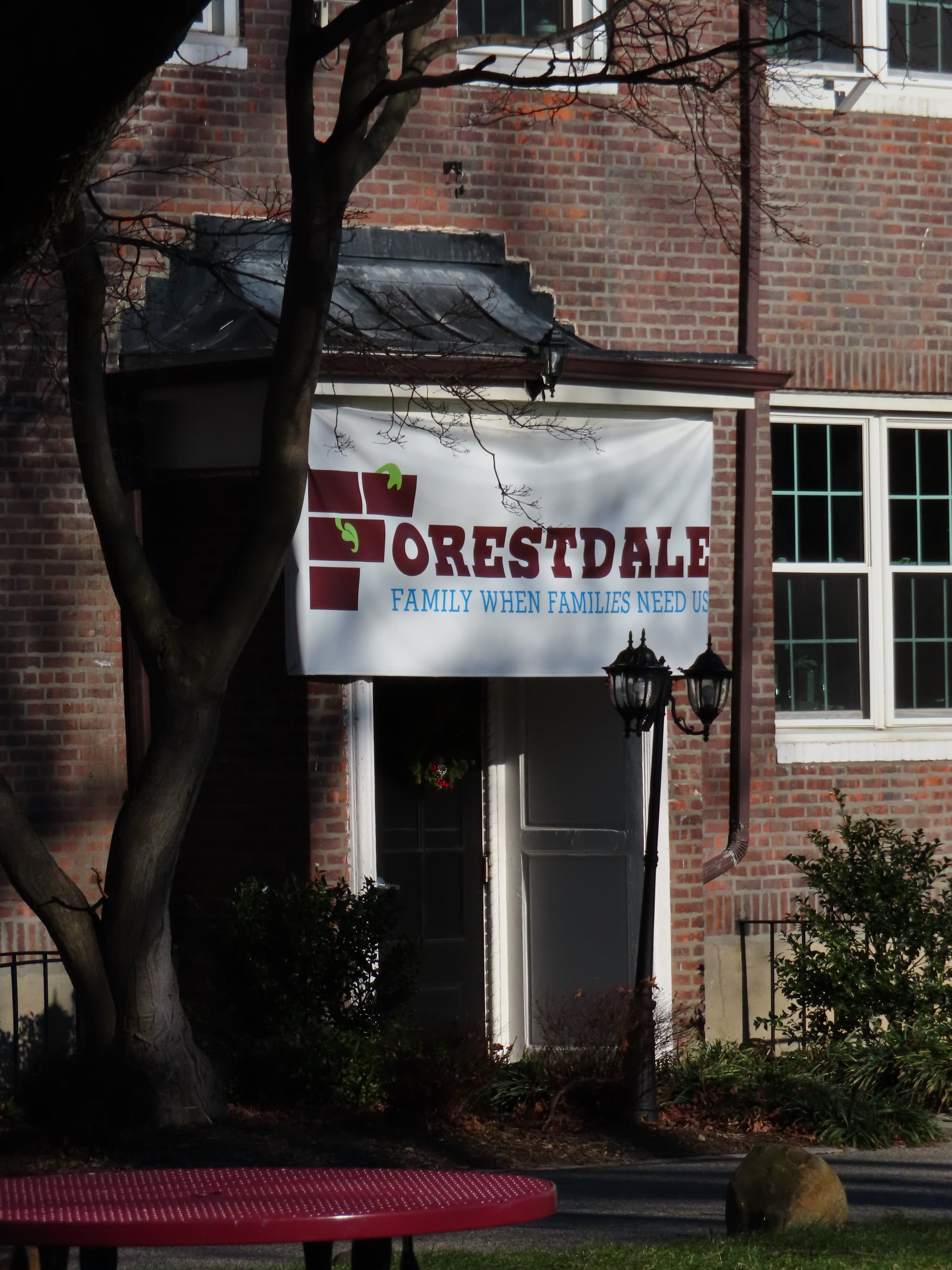 Dogs and volunteers participating in the Walk for Paws community fundraiser event